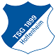 TSG Hoffenheim Neu Logo